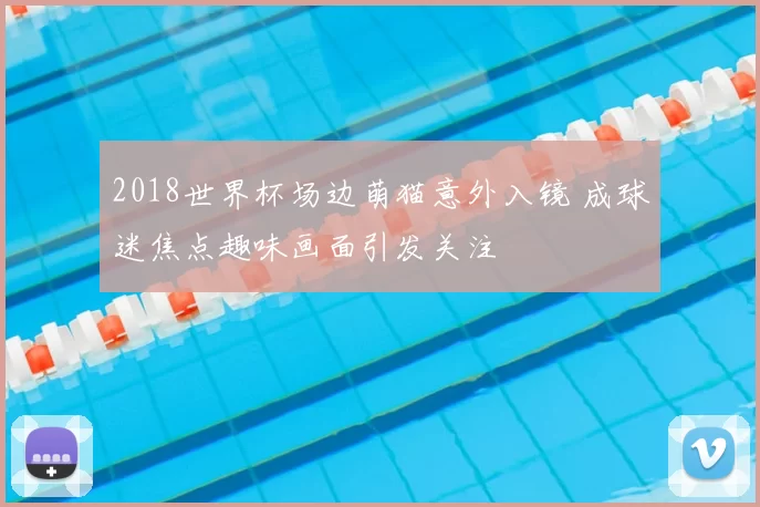 2018世界杯场边萌猫意外入镜 成球迷焦点趣味画面引发关注