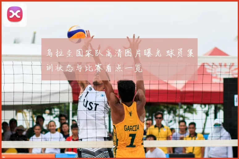 乌拉圭国家队高清图片曝光 球员集训状态与比赛看点一览