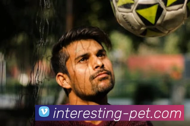 博亚体育app官网入口发展历程